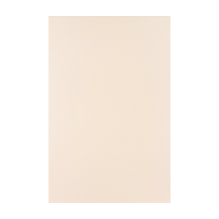 Finish Side Skin Panel
