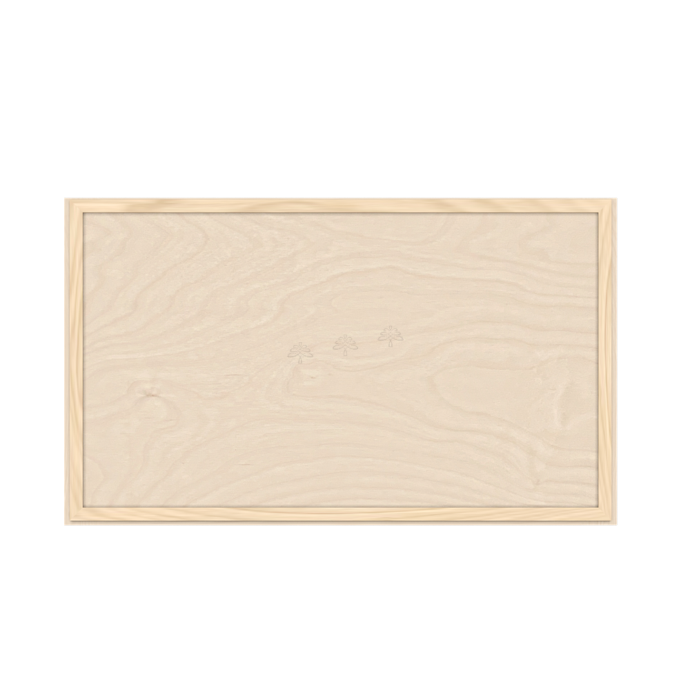 Wall Lift Up Cabinet
