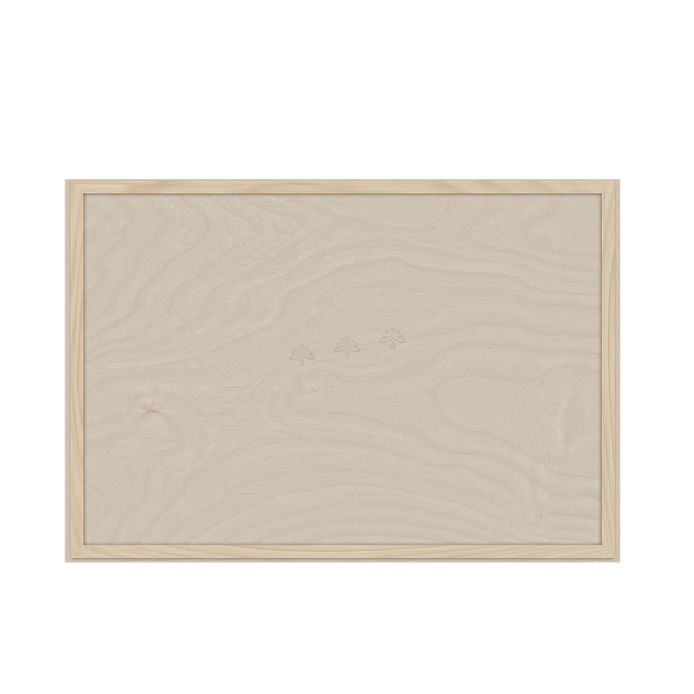 Wall Lift Up Cabinet