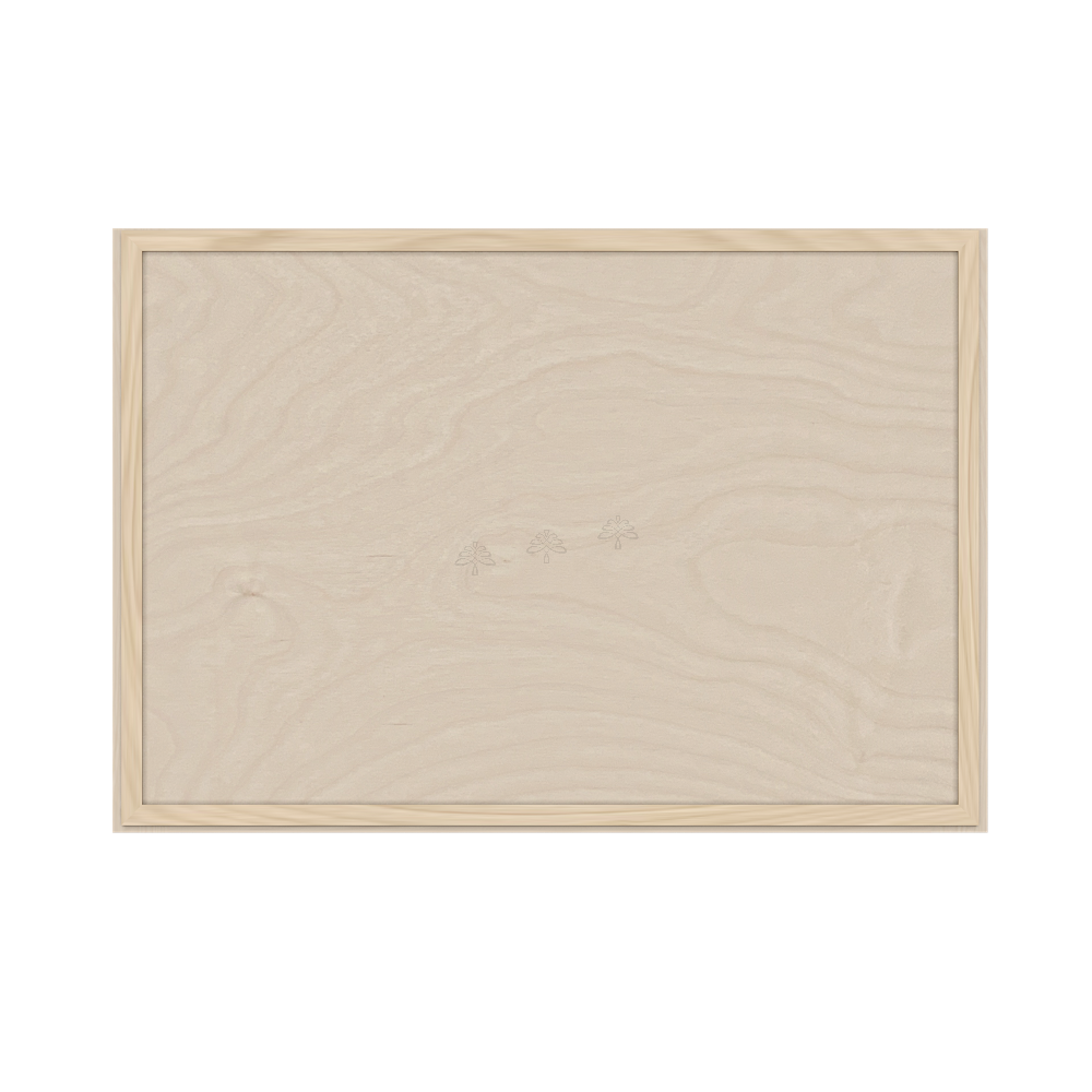 Wall Lift Up Cabinet